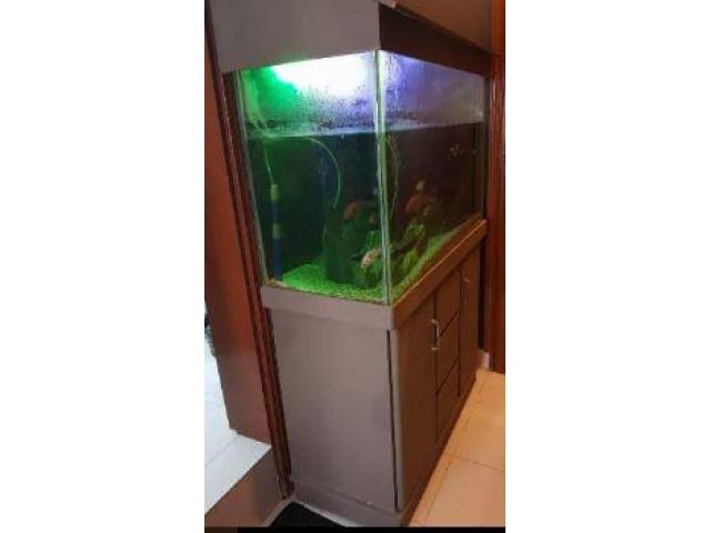 Fish Aquarium with Storage - 1